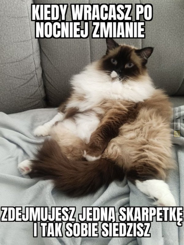 Śmieszny mem: 5883064 - MemLand