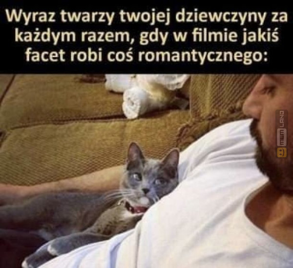 Śmieszny mem: 5884201 - MemLand