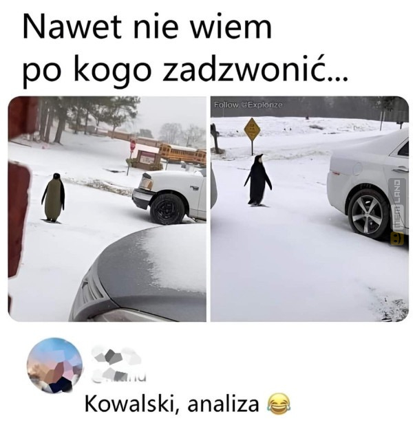 Śmieszny mem: 5891377 - MemLand