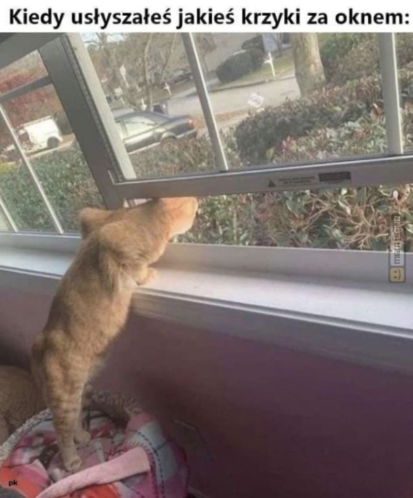 Śmieszny mem: 5892274 - MemLand