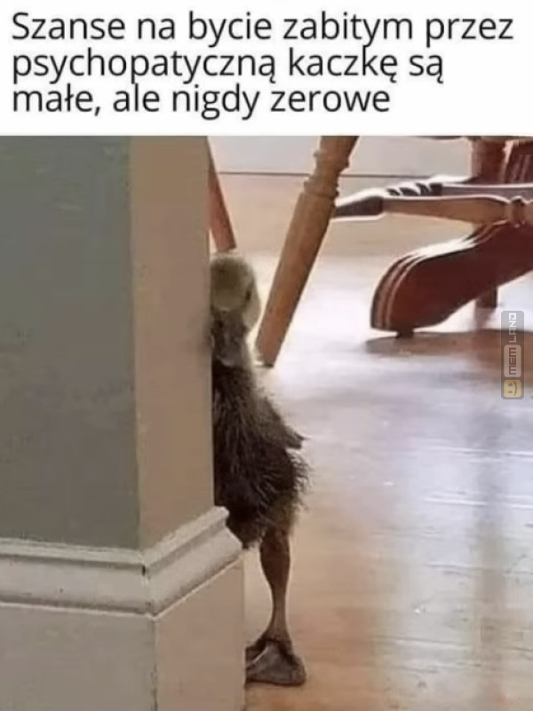 Śmieszny mem: 5893489 - MemLand