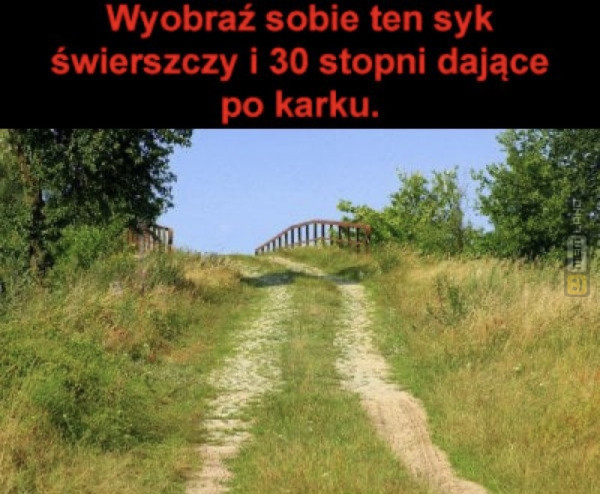 Śmieszny mem: 5898466 - MemLand