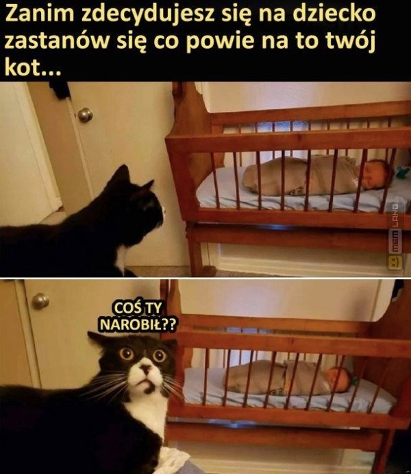 Śmieszny mem: 5900010 - MemLand