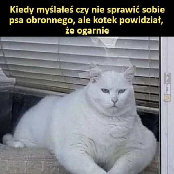 Śmieszny mem: 5900565 - MemLand