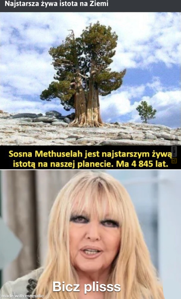 Śmieszny mem: 5901068 - MemLand