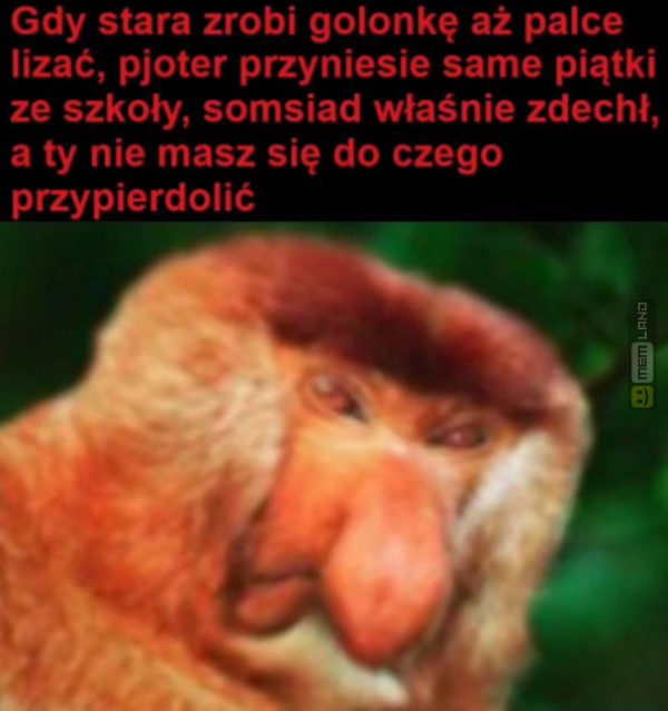Śmieszny mem: 5903445 - MemLand