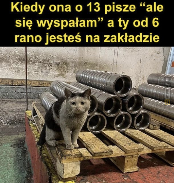 Śmieszny mem: 5905108 - MemLand