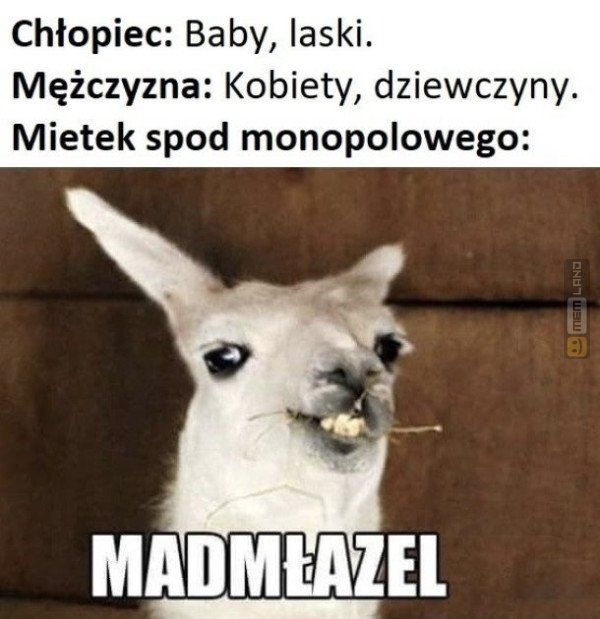 Śmieszny mem: 5912818 - MemLand