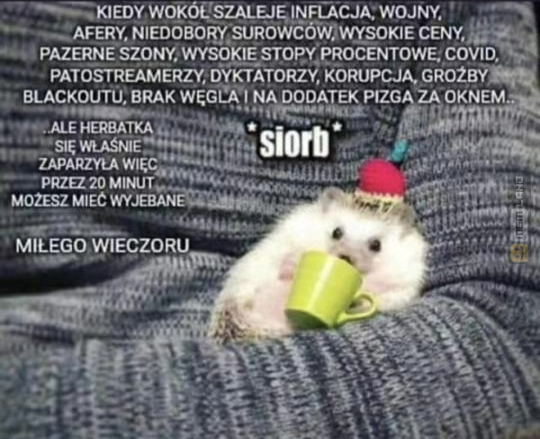 Śmieszny mem: 5918285 - MemLand