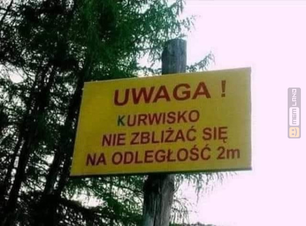 Śmieszny mem: 5919911 - MemLand