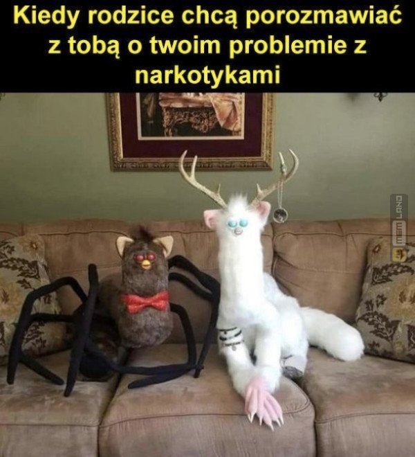 Śmieszny mem: 5922773 - MemLand