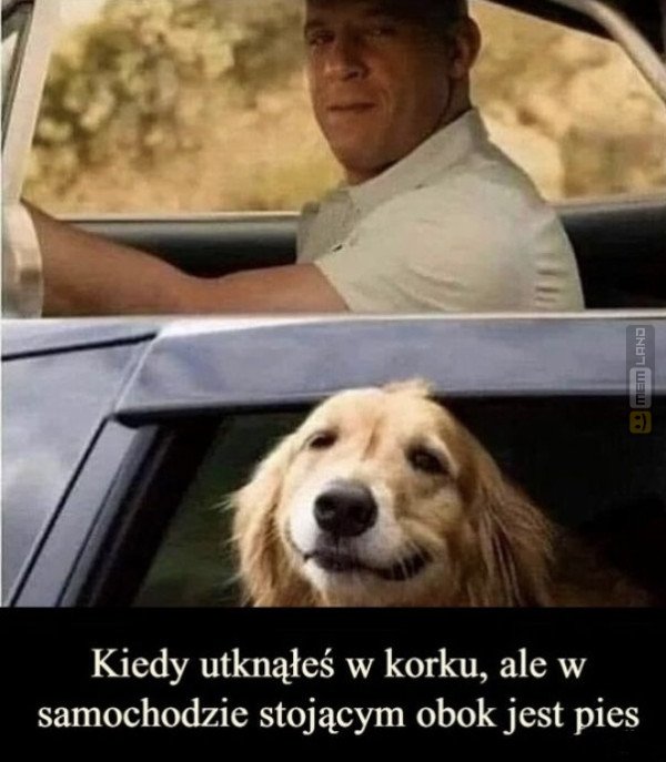 Śmieszny mem: 5931517 - MemLand