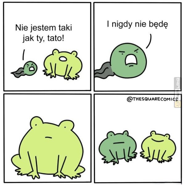 Śmieszny mem: 5933353 - MemLand