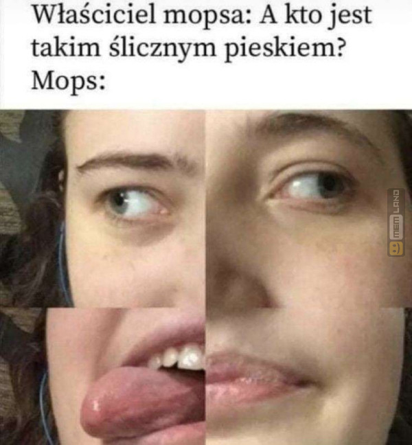 Śmieszny mem: 5935652 - MemLand