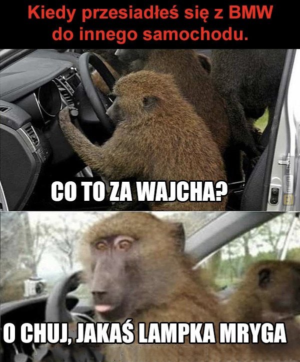 Śmieszny mem: 5936321 - MemLand