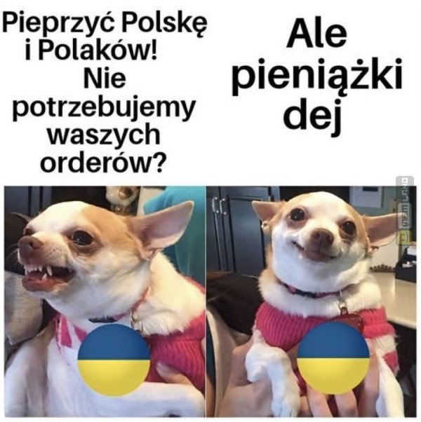 Śmieszny mem: 5938568 - MemLand