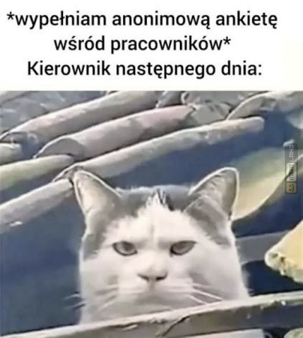 Śmieszny mem: 5942355 - MemLand