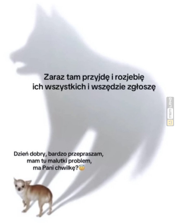 Śmieszny mem: 5945516 - MemLand