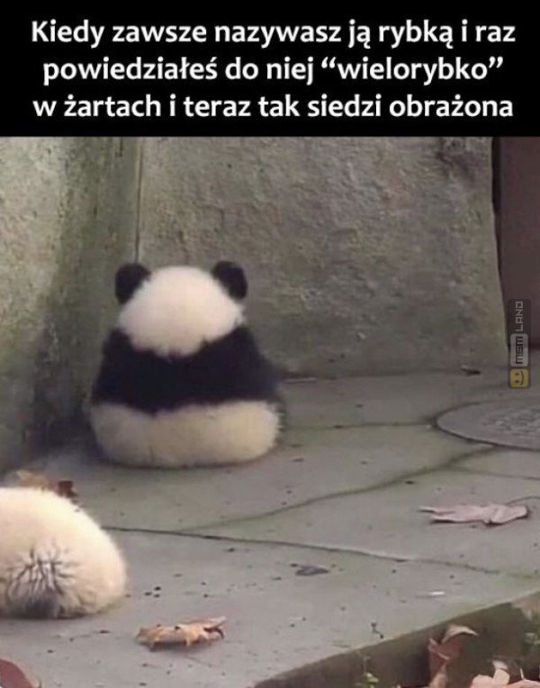 Śmieszny mem: 5947649 - MemLand