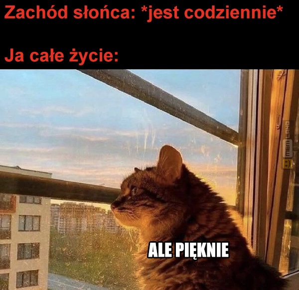 Śmieszny mem: 5950523 - MemLand