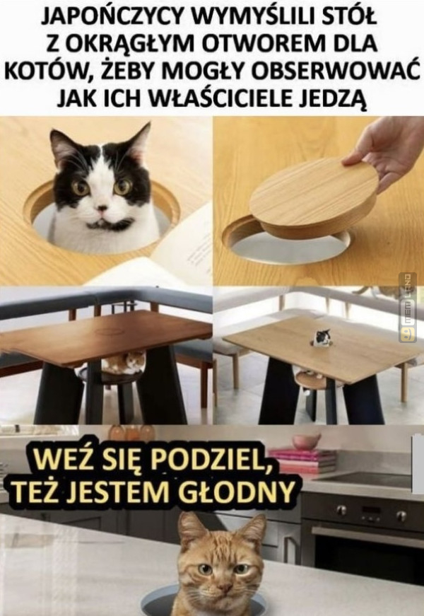 Śmieszny mem: 5954321 - MemLand