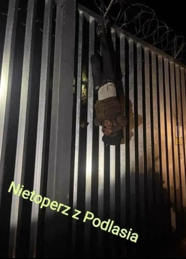 Śmieszny mem: 5959327 - MemLand