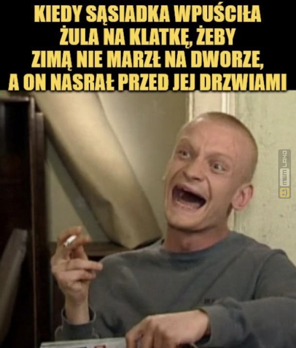 Śmieszny mem: 5970304 - MemLand