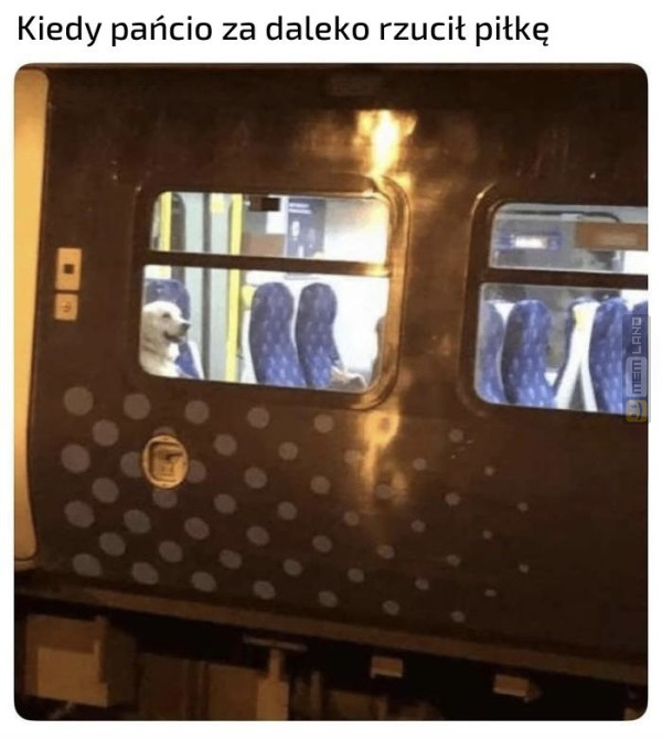 Śmieszny mem: 5983236 - MemLand