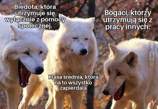 Śmieszny mem: 5984906 - MemLand