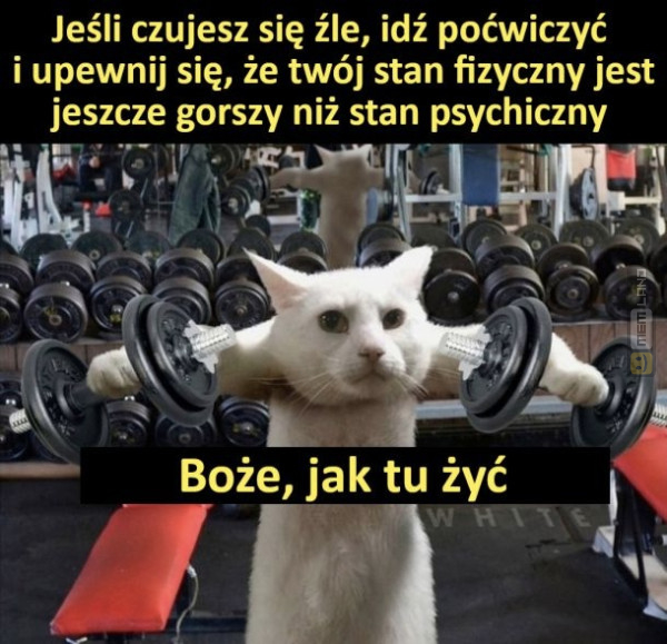 Śmieszny mem: 5985842 - MemLand