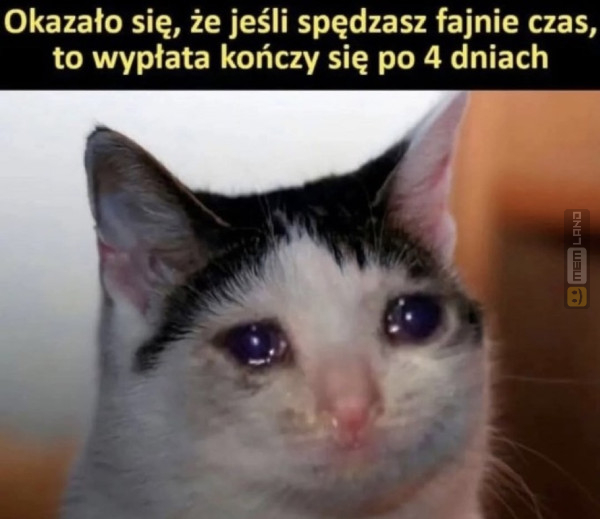 Śmieszny mem: 5991400 - MemLand