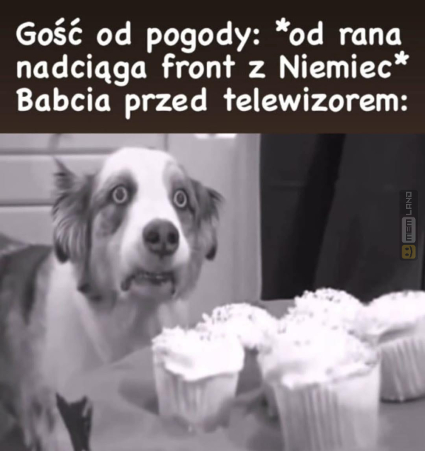 Śmieszny mem: 6002495 - MemLand