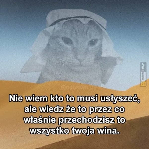 Śmieszny mem: 6004102 - MemLand
