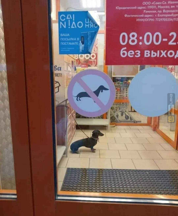 Śmieszny mem: 6006786 - MemLand