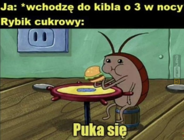 Śmieszny mem: 6017442 - MemLand