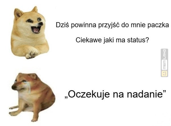 Śmieszny mem: 6029076 - MemLand