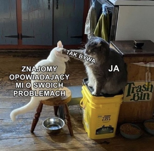 Śmieszny mem: 6031146 - MemLand