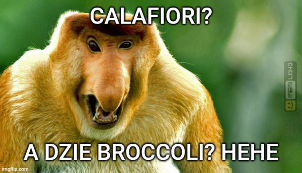 Śmieszny mem: 6033810 - MemLand