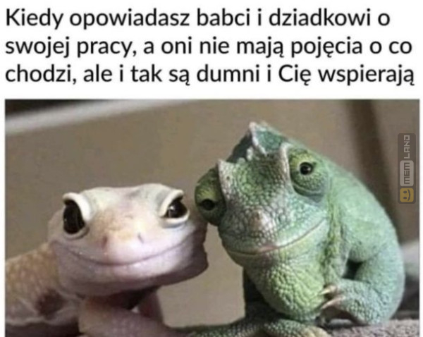 Śmieszny mem: 6035052 - MemLand