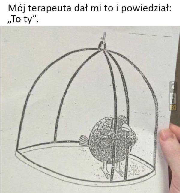 Śmieszny mem: 6037123 - MemLand