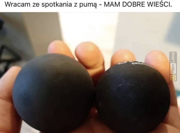 Śmieszny mem: 6042792 - MemLand