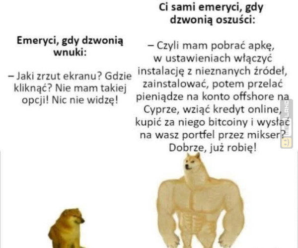 Śmieszny mem: 6048161 - MemLand