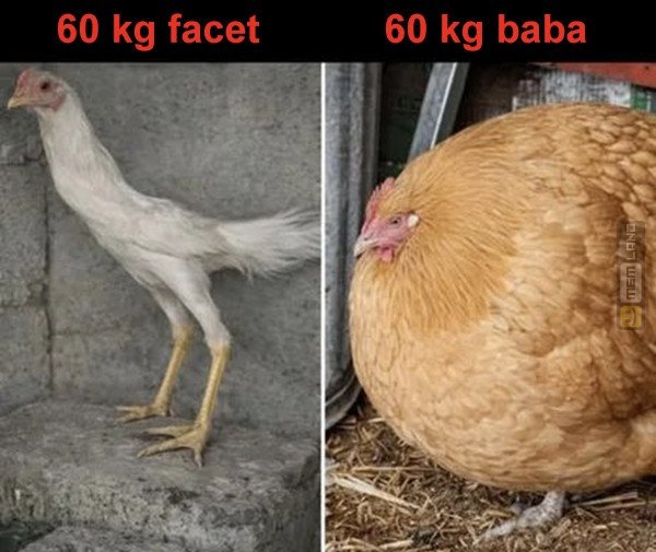 Śmieszny mem: 6051567 - MemLand