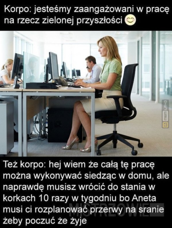 Śmieszny mem: 6054179 - MemLand