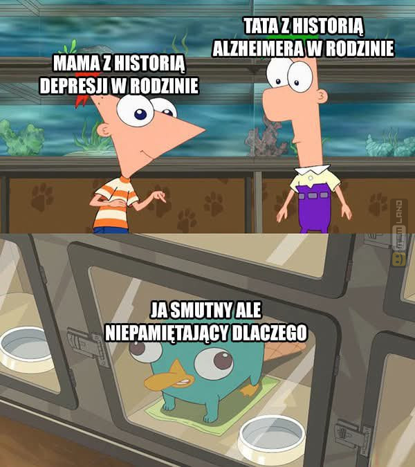 Śmieszny mem: 6058266 - MemLand