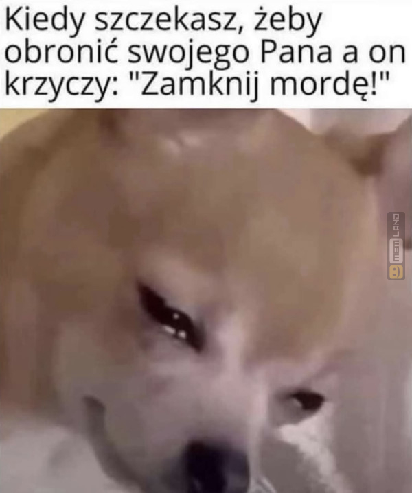 Śmieszny mem: 6058518 - MemLand