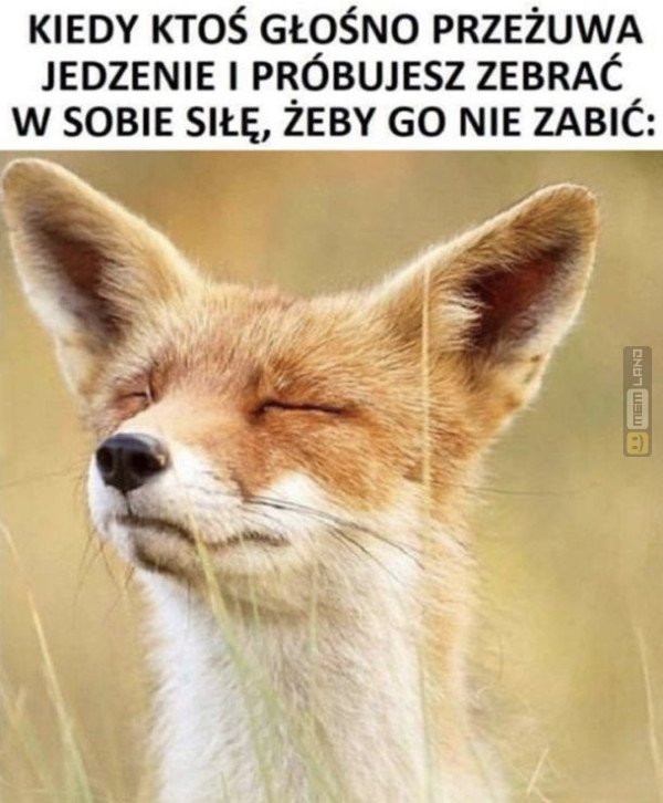 Śmieszny mem: 6062522 - MemLand
