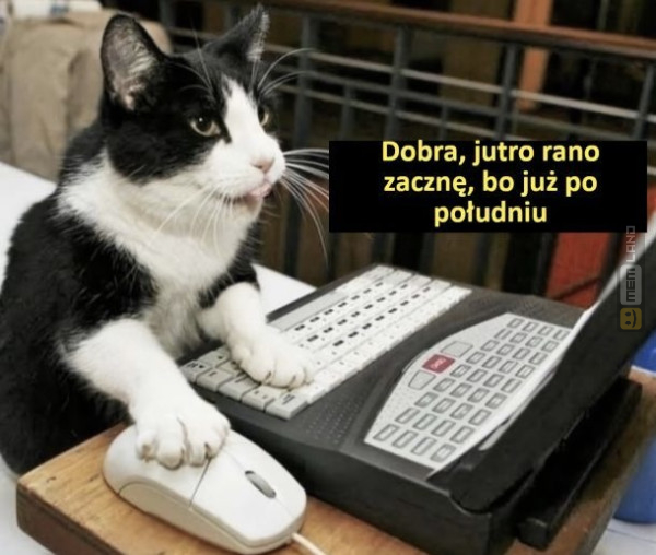 Śmieszny mem: 6063348 - MemLand