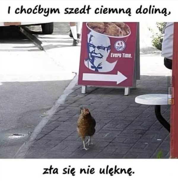 Śmieszny mem: 6064547 - MemLand