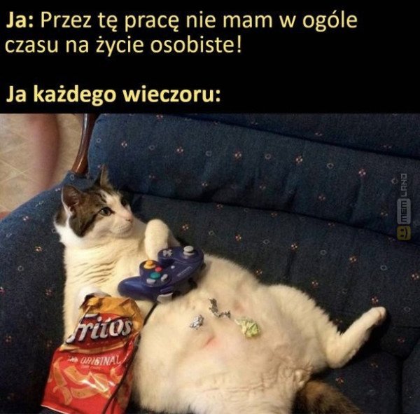 Śmieszny mem: 6076300 - MemLand